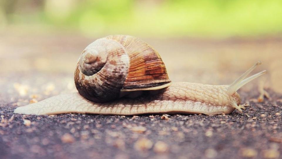 Τι μπορεί να σημαίνουν οι αργές κινήσεις (βραδυκινησία)