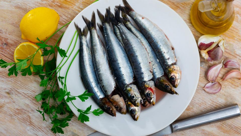 Φάτε μικρά ψάρια για μεγαλύτερη διάρκεια ζωής, λέει νέα μελέτη