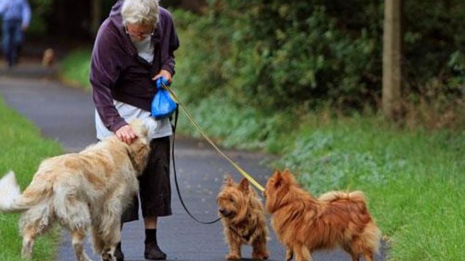 Η ιδιοκτησία ενός κατοικίδιου μπορεί να επιβραδύνει τη γνωστική πτώση