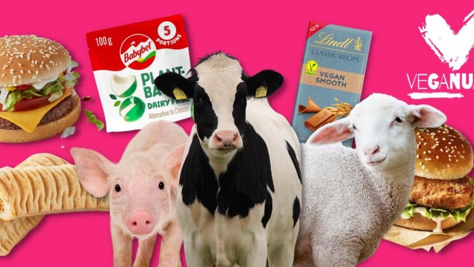 Veganuary: Ένα νέο ταξίδι στον βίγκαν τρόπο ζωής