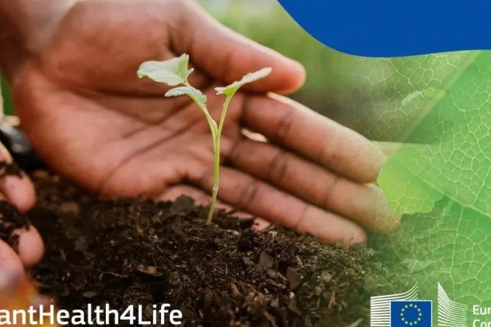 Η εκστρατεία #PlantHealth4Life επιστρέφει, μεγαλύτερη και βελτιωμένη